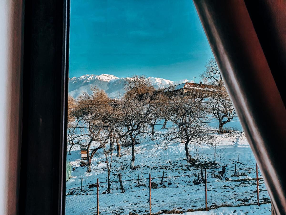 Transylvania Mountain View Cdi Bran  Luaran gambar